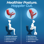 Posture Perch - Image 5